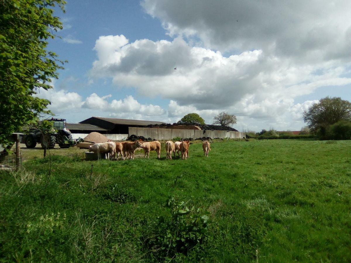 Вилла La Ferme De La Baconnerie Sainte-Marguerite-d'Elle Экстерьер фото